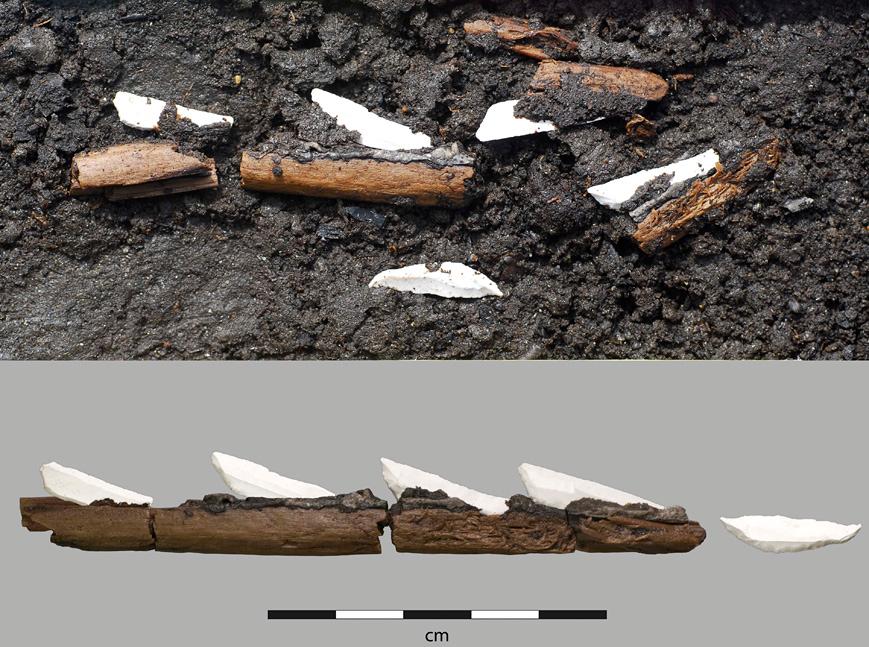 Fragments d’une flèche mésolithique en bois, armée de barbelures latérales et d’une pointe distale en silex (Rönneholms Mosse, Suède).